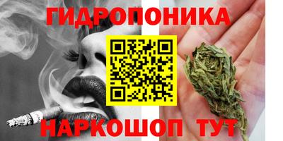 spice Гай