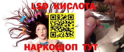 ПСИЛОЦИБИНОВЫЕ ГРИБЫ Гатчина