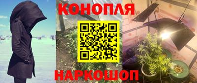ПСИЛОЦИБИНОВЫЕ ГРИБЫ Гатчина