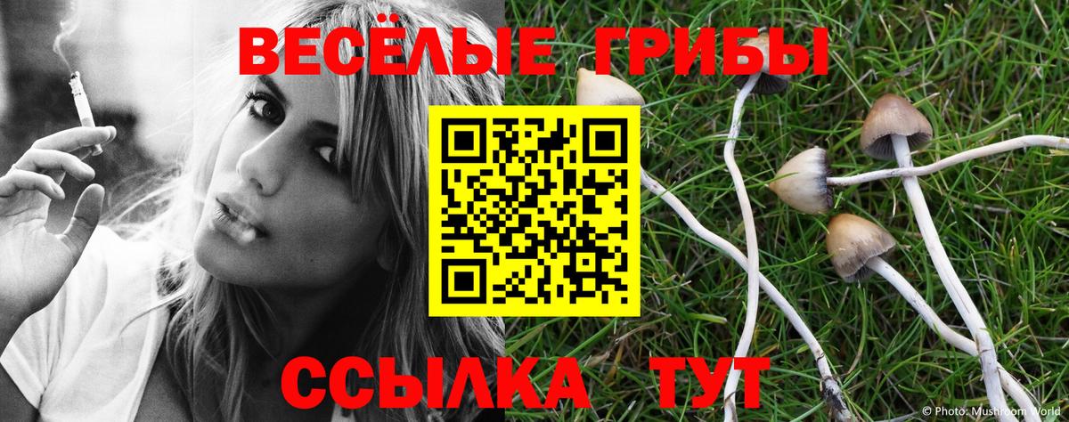 Псилоцибиновые грибы GOLDEN TEACHER  Вход с VPN  Нефтеюганск 